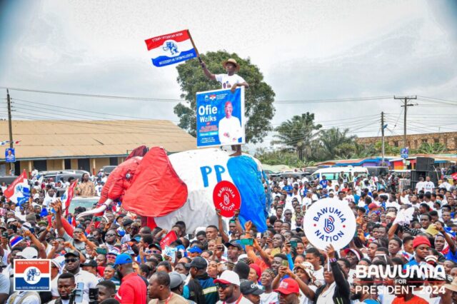 NPP National Election Balloting: Check Out Candidates And Their Positions