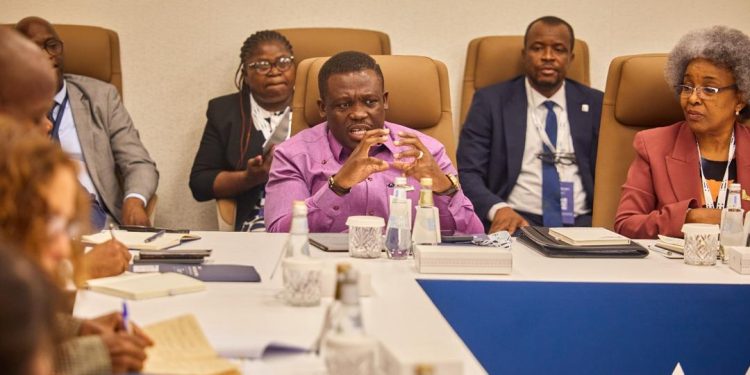 Africa must shape AI standards to reflect its values, culture – Sam George